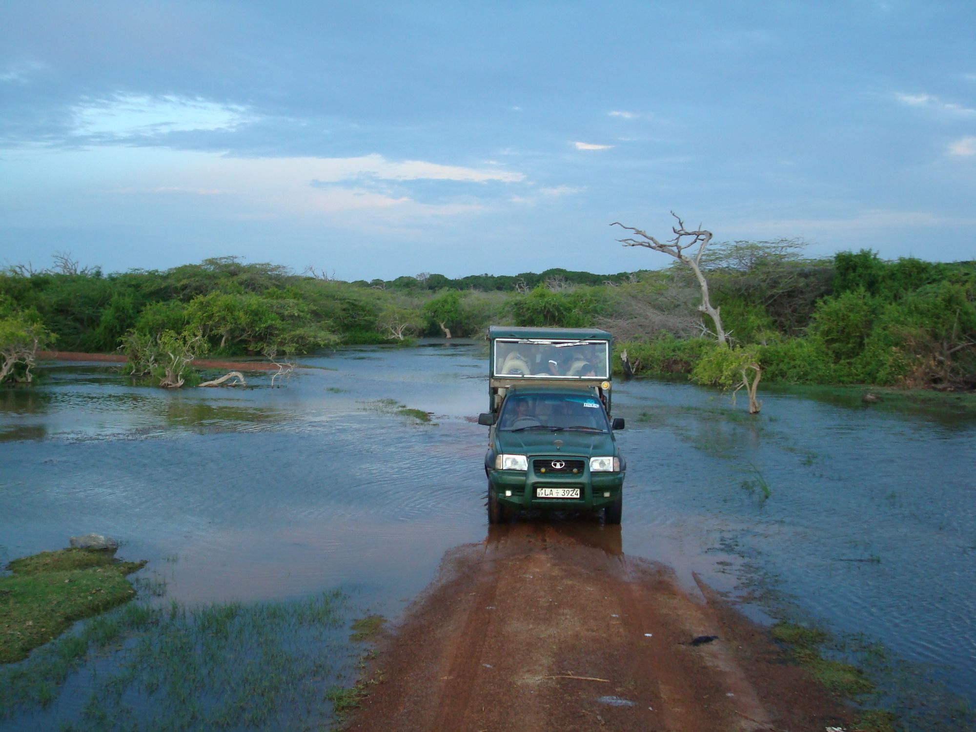 Mahoora Tented Safari Camp Bundala Hambantota Buitenkant foto