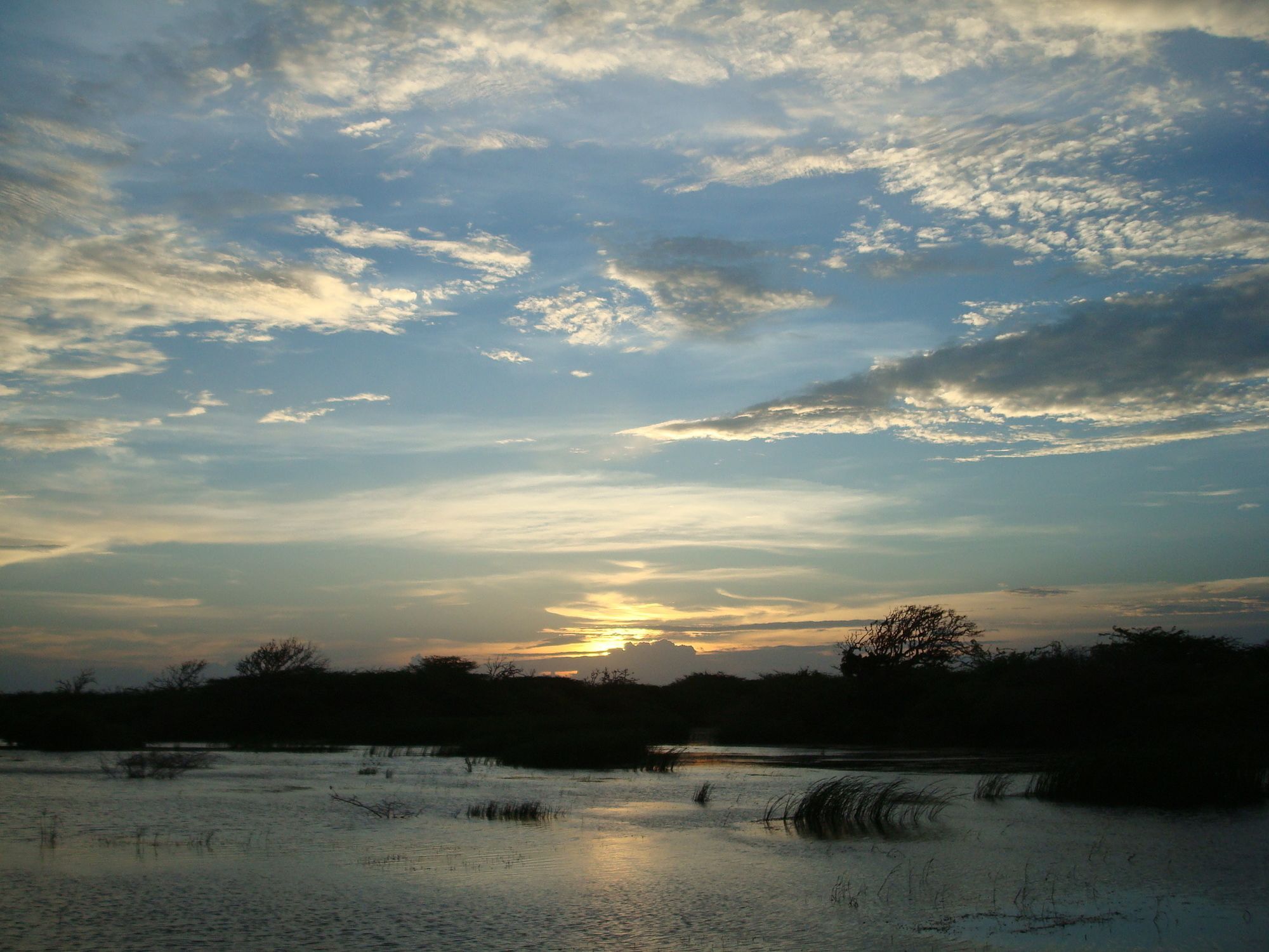 Mahoora Tented Safari Camp Bundala Hambantota Buitenkant foto